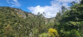 Enlarge photo 139