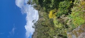 Enlarge photo 140