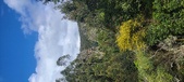 Enlarge photo 141