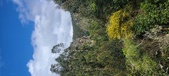 Enlarge photo 142