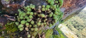 Enlarge photo 144