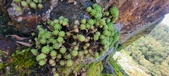 Enlarge photo 145