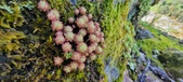 Enlarge photo 146