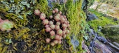 Enlarge photo 148