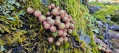 Enlarge photo 151