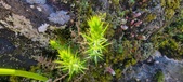 Enlarge photo 153