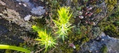 Enlarge photo 154