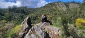 Enlarge photo 155