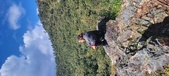 Enlarge photo 160