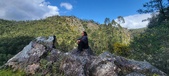 Enlarge photo 169