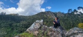 Enlarge photo 181