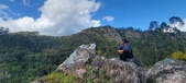 Enlarge photo 184