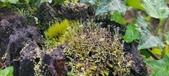 Enlarge photo 198