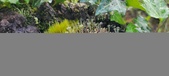 Enlarge photo 205