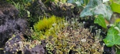 Enlarge photo 200