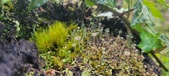 Enlarge photo 201