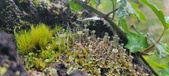 Enlarge photo 202