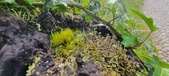 Enlarge photo 203