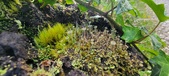 Enlarge photo 204