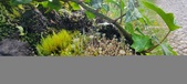 Enlarge photo 206