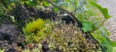 Enlarge photo 207