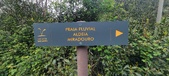 Enlarge photo 208