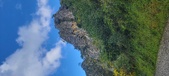 Enlarge photo 210