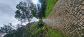 Enlarge photo 214