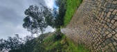 Enlarge photo 216