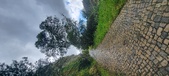 Enlarge photo 217