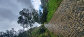 Enlarge photo 218