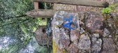 Enlarge photo 219