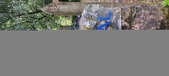 Enlarge photo 227