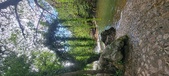 Enlarge photo 221