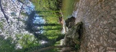 Enlarge photo 222