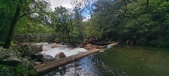 Enlarge photo 225