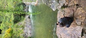 Enlarge photo 226