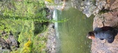 Enlarge photo 228