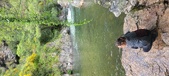 Enlarge photo 229