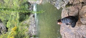 Enlarge photo 231