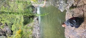 Enlarge photo 234