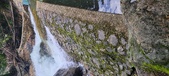 Enlarge photo 239