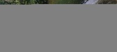 Enlarge photo 238