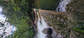 Enlarge photo 241