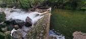 Enlarge photo 243