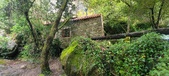 Enlarge photo 244