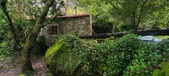 Enlarge photo 246