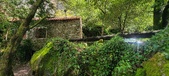 Enlarge photo 247