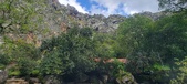 Enlarge photo 251