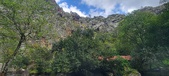 Enlarge photo 252